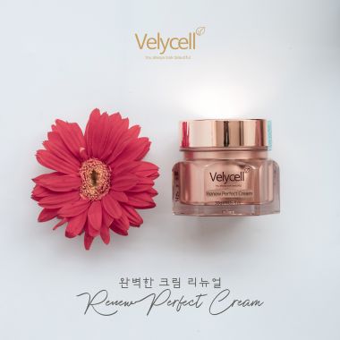 Kem Dưỡng Tái Tạo Da Velycell Renew Perfect Cream 30gr